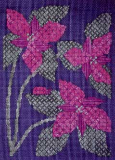 Trilliums and Ladybug