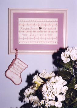 #19201 -- Swedish Weaving - Birth Sampler