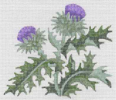 #102431 -- Thistle Kit
