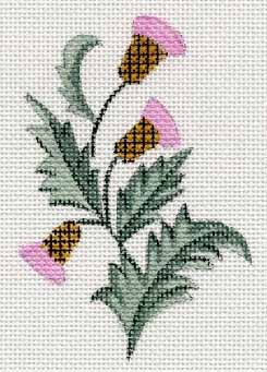 #150214 -- Sprig Of Thistles