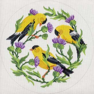#150215 -- Goldfinches In Thistles - Round