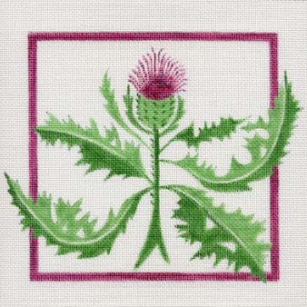#150220 -- Thistle In Square
