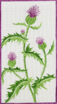 #150221 -- Thistles In Rectangle