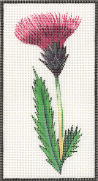 #150229 -- Thistle Eye Glass Case