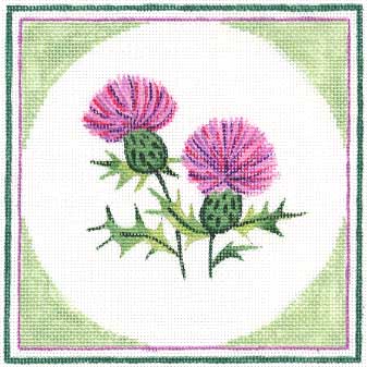 #150258 -- Thistles Round In Square