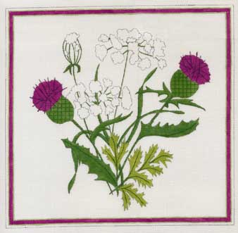 #62590 -- Thistles & Queen Ann's Lace