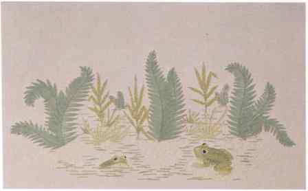 #388 Frogs And Ferns